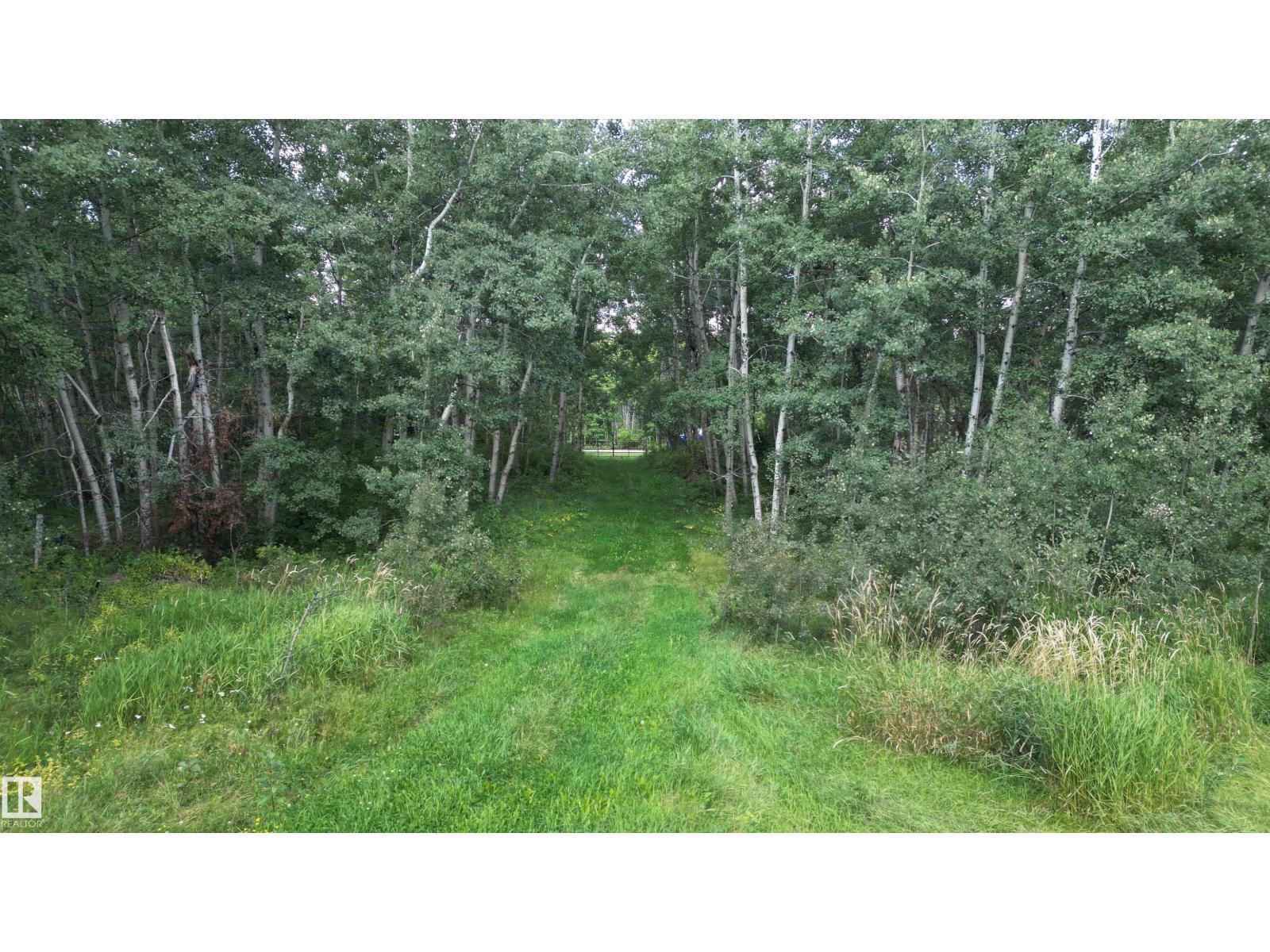 Photo 10 of 217 52252 Rge Road 215, Rural Strathcona County AB