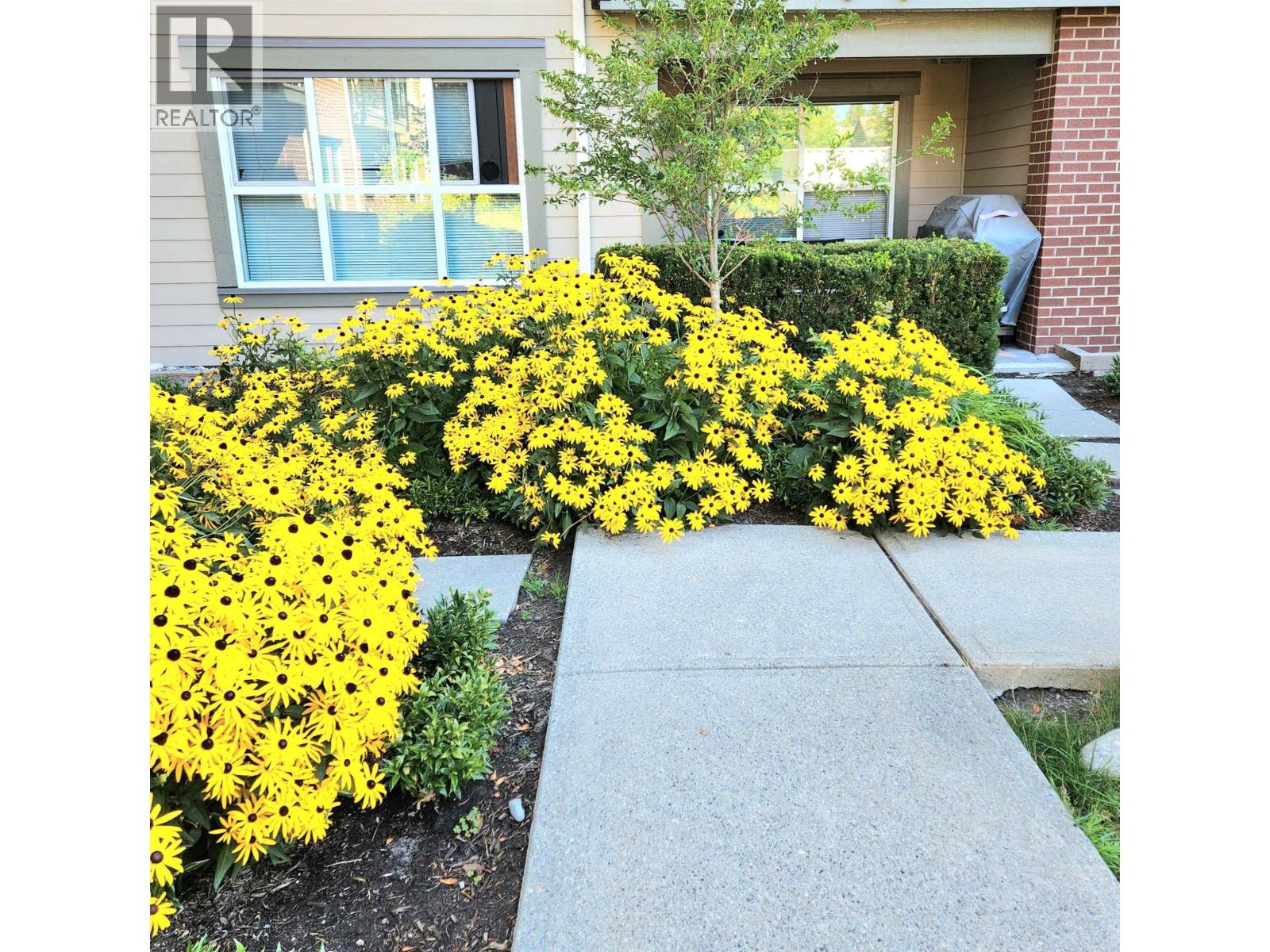 Photo 12 of 106 5889 Irmin Street, Burnaby BC