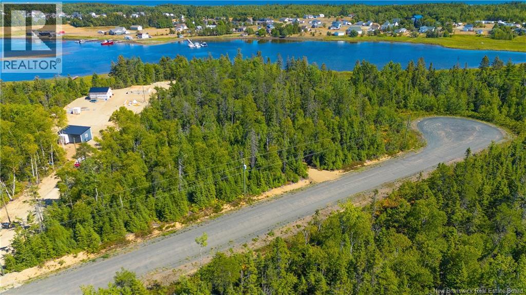 Photo 2 of Lot Rue De Loutarde Street, Pointedesrobichaud NB