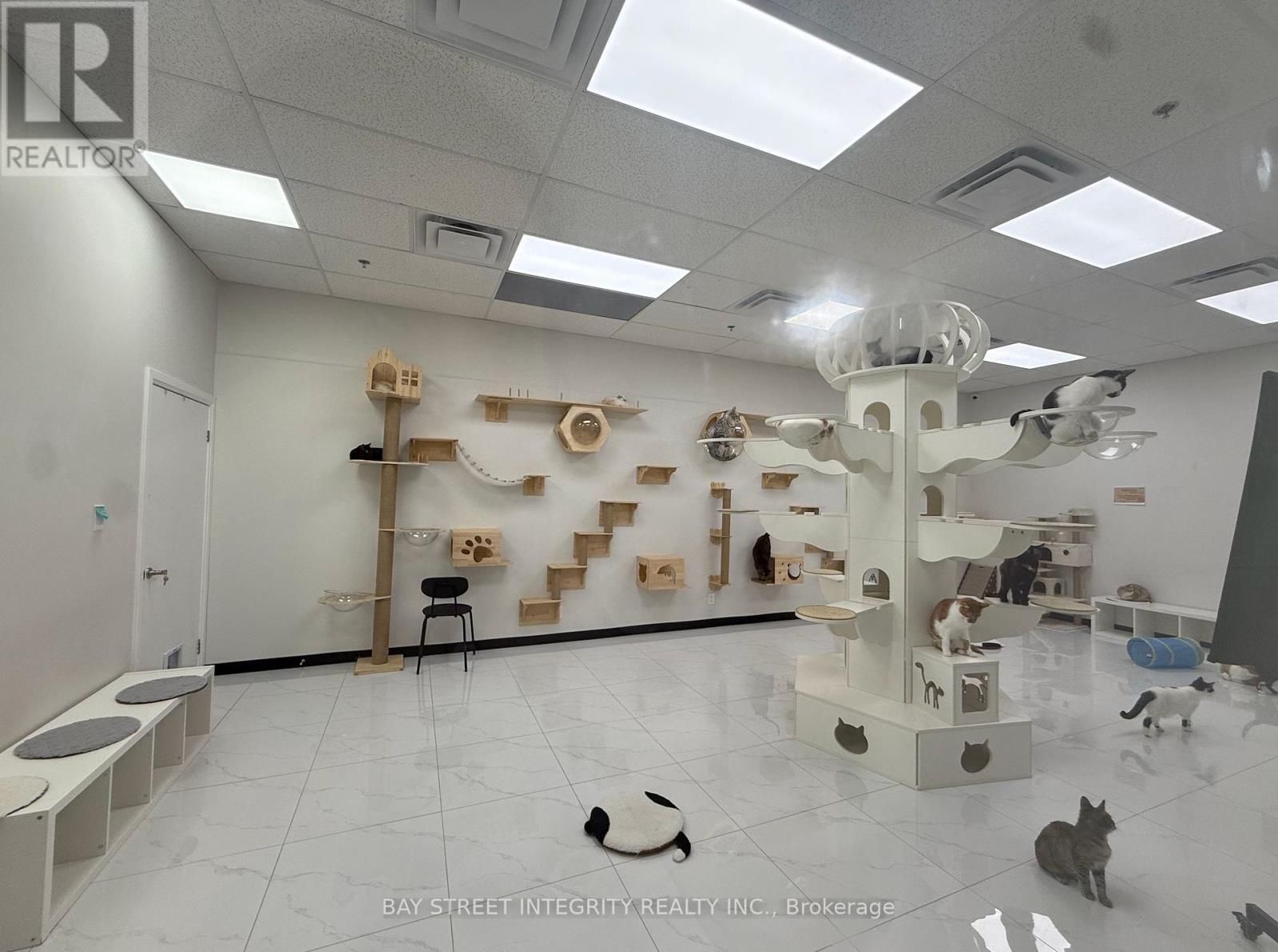 Photo 3 of Ground 327 333 Queen Street W, Toronto ON