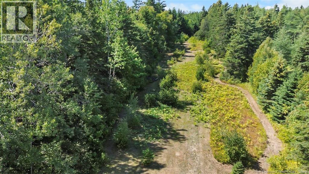 Photo 26 of 3343 Brideau, Tracadie NB