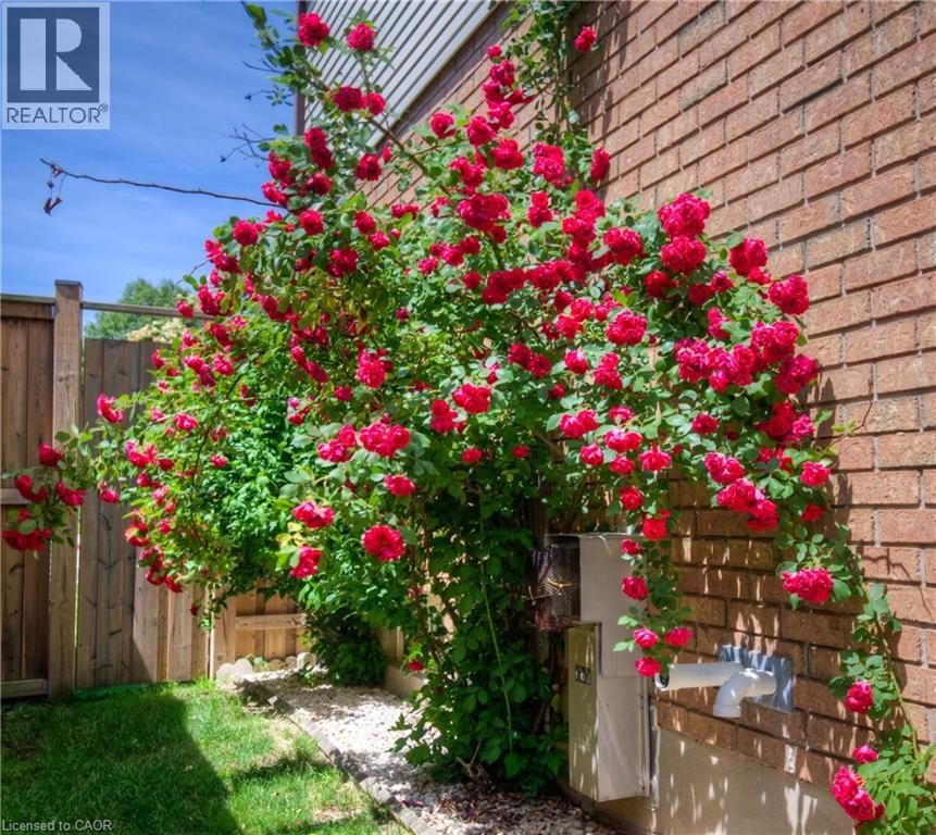 Photo 40 of 8 Ashley Court, Kitchener ON