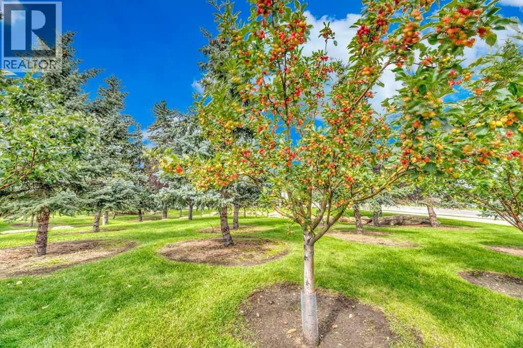 Single Family House for Sale in   Somervale Court SW Somerset Calgary 