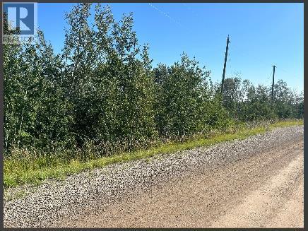 Photo 37 of 16 30480 Range Road 12, Rural Mountain View County AB