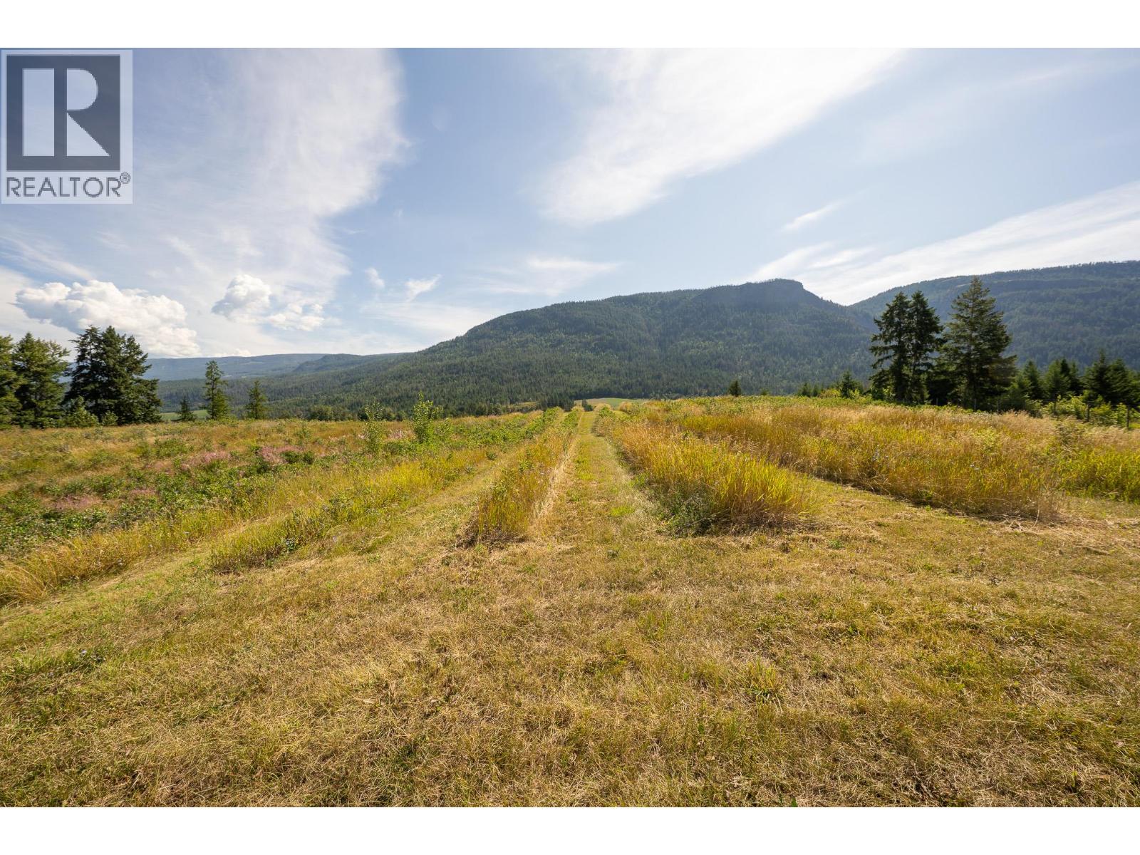 Photo 42 of 184 Monks Road, Grindrod BC