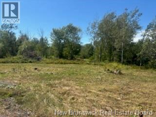 Photo 1 of 4021 Route 690, Newcastle Creek NB