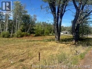 Photo 2 of 4021 Route 690, Newcastle Creek NB