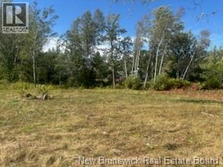 Photo 3 of 4021 Route 690, Newcastle Creek NB