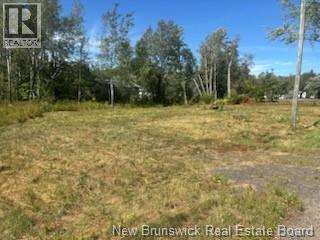Photo 4 of 4021 Route 690, Newcastle Creek NB