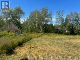 Photo 5 of 4021 Route 690, Newcastle Creek NB