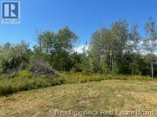 Photo 6 of 4021 Route 690, Newcastle Creek NB