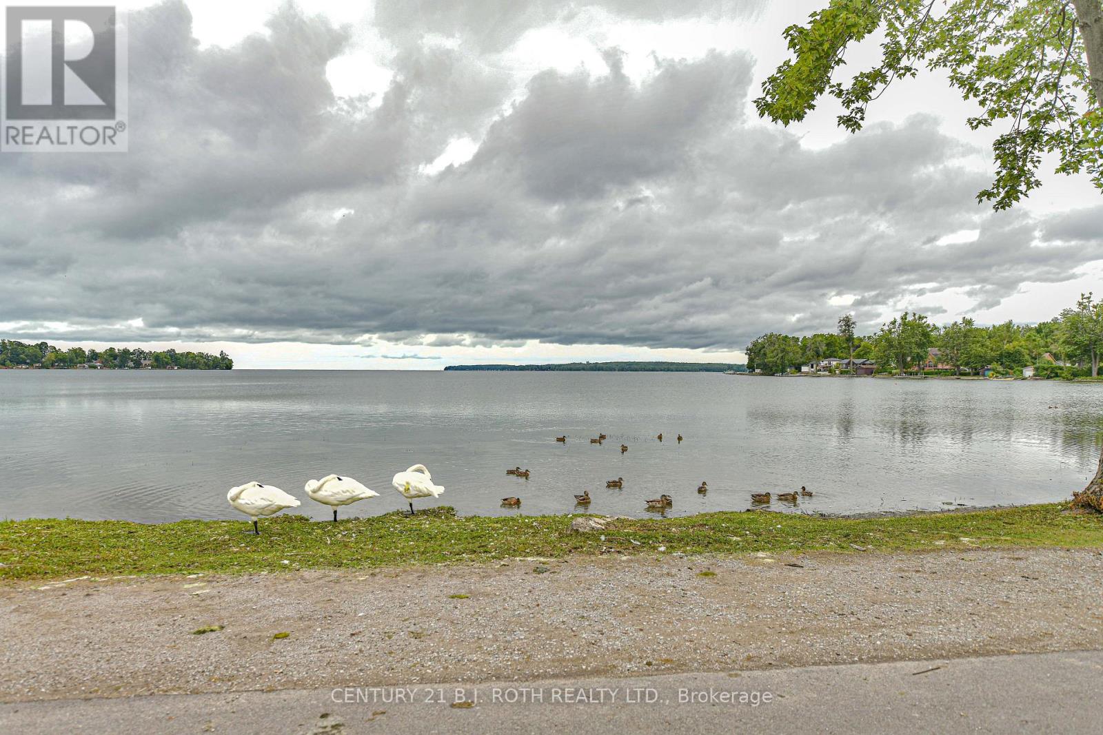 Photo 11 of 15 40 Victoria Crescent, Orillia ON