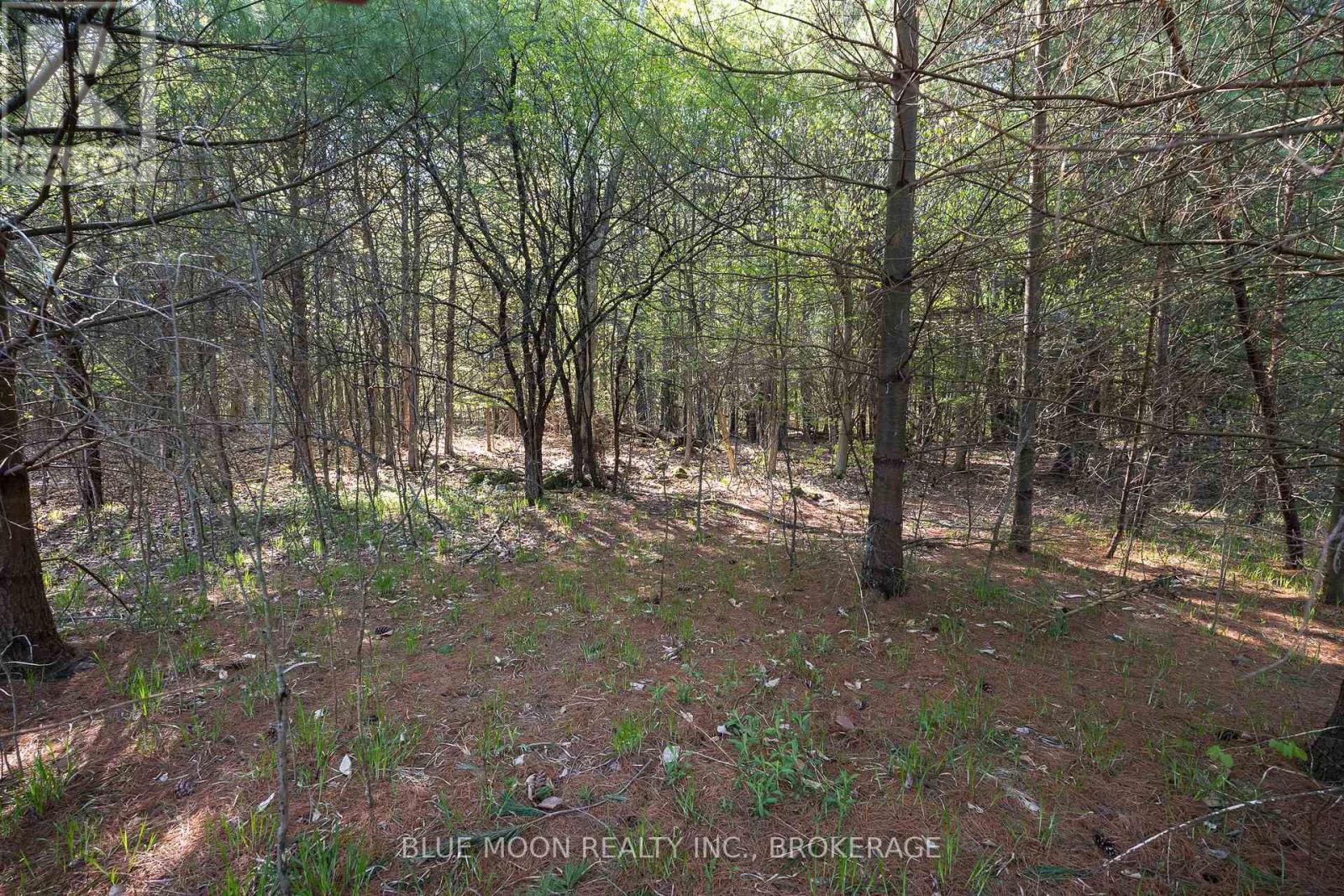 Photo 15 of 0 Fortune Line Road, Rideau Lakes ON