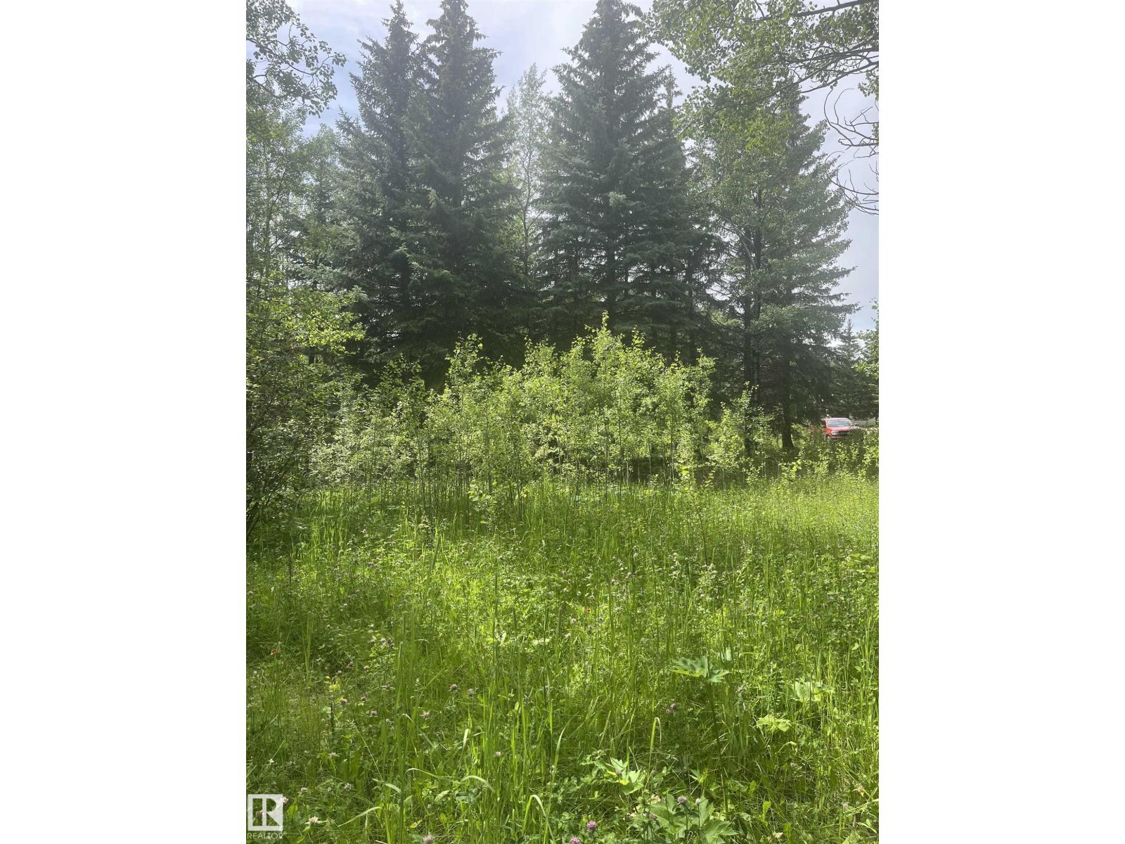 Photo 14 of 502 Highland Rd, Rural Wetaskiwin County AB