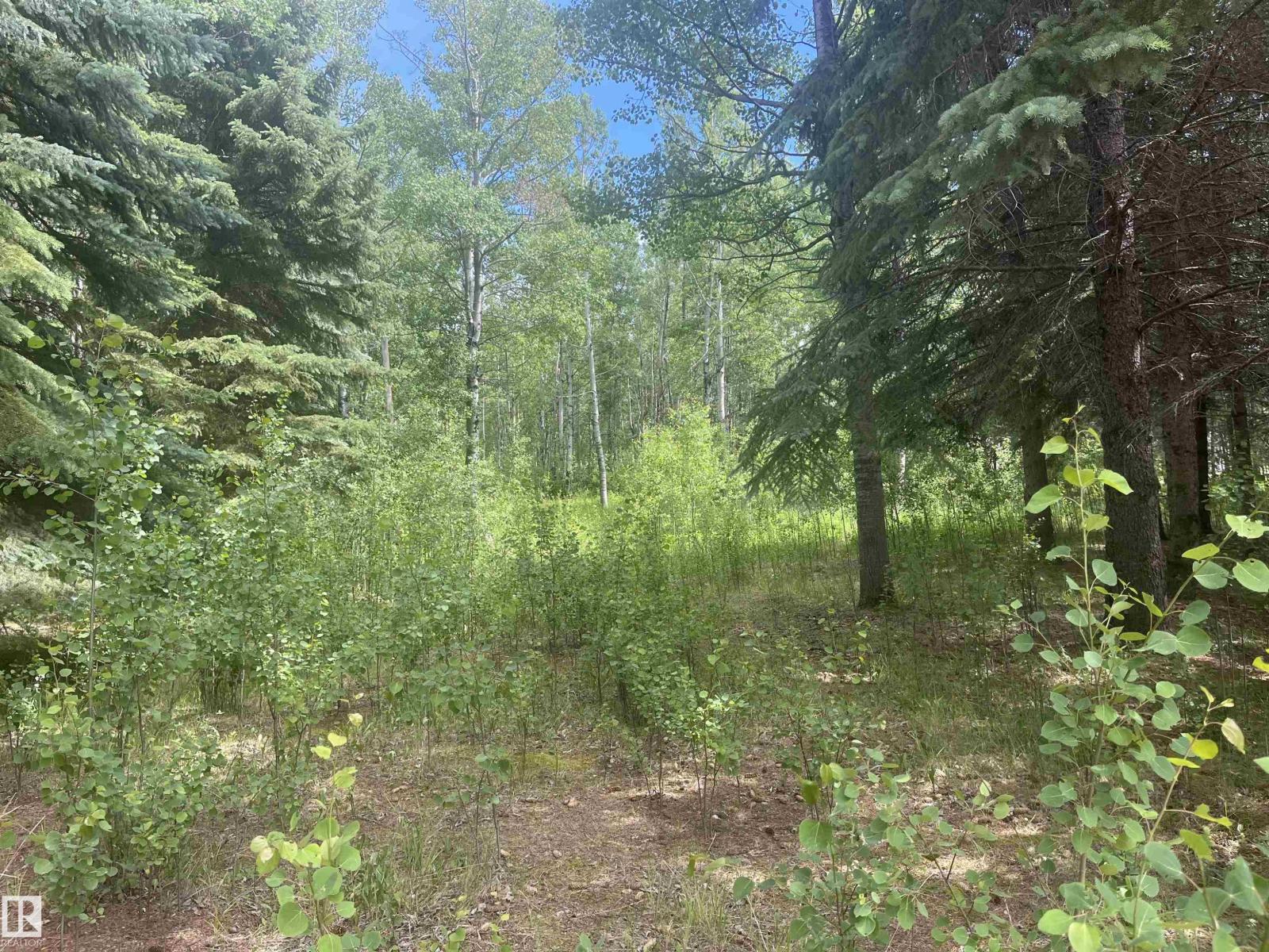 Photo 2 of 502 Highland Rd, Rural Wetaskiwin County AB