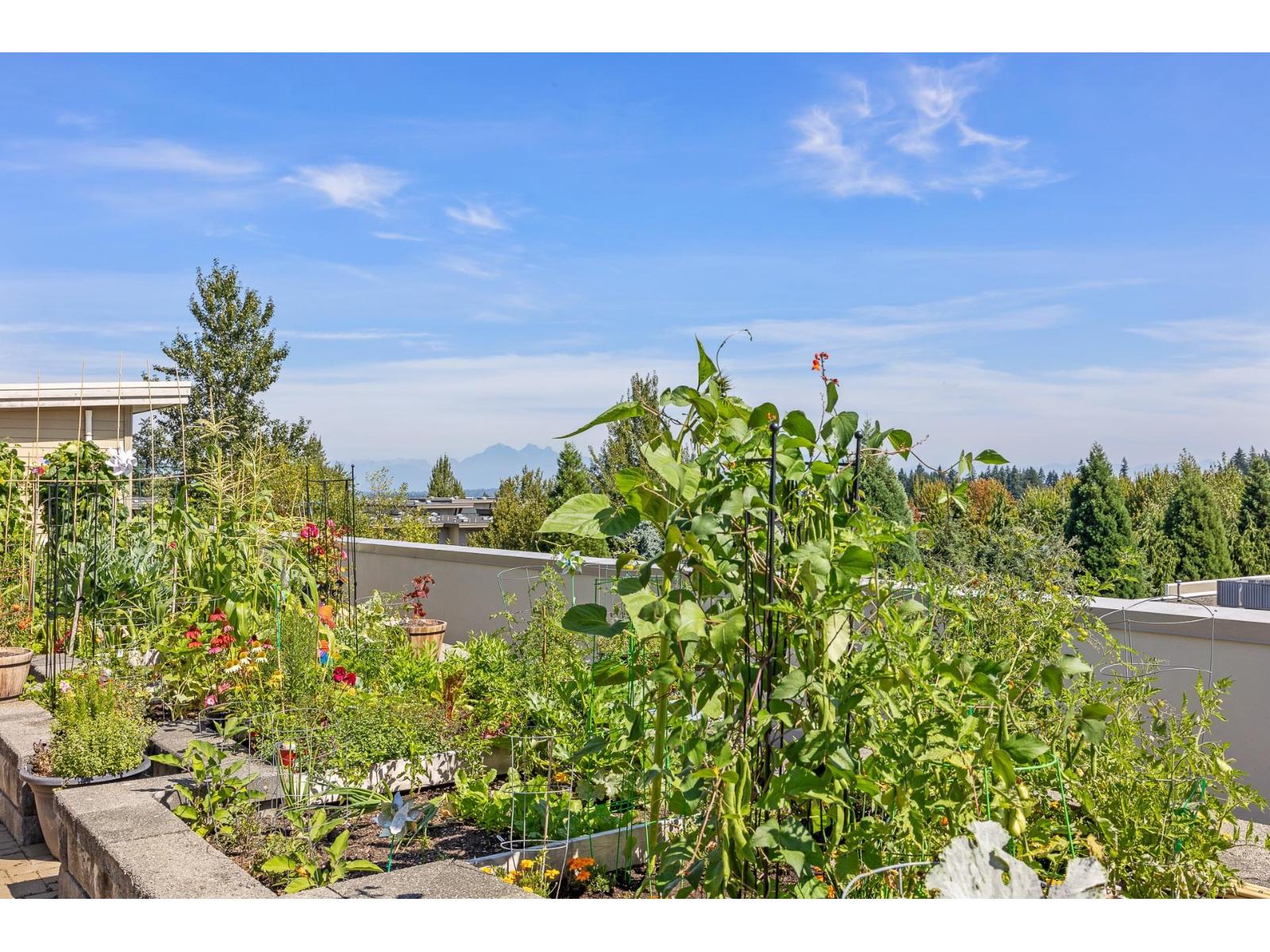 Photo 10 of 363 15850 26 Avenue, Surrey BC