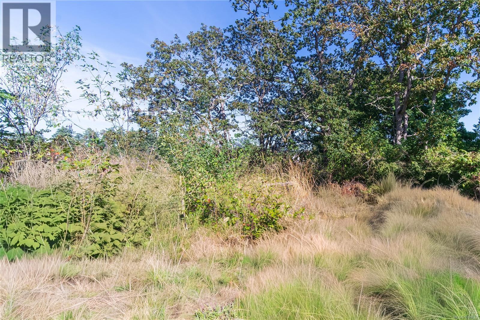 Photo 16 of 508 Davida Ave, Saanich BC