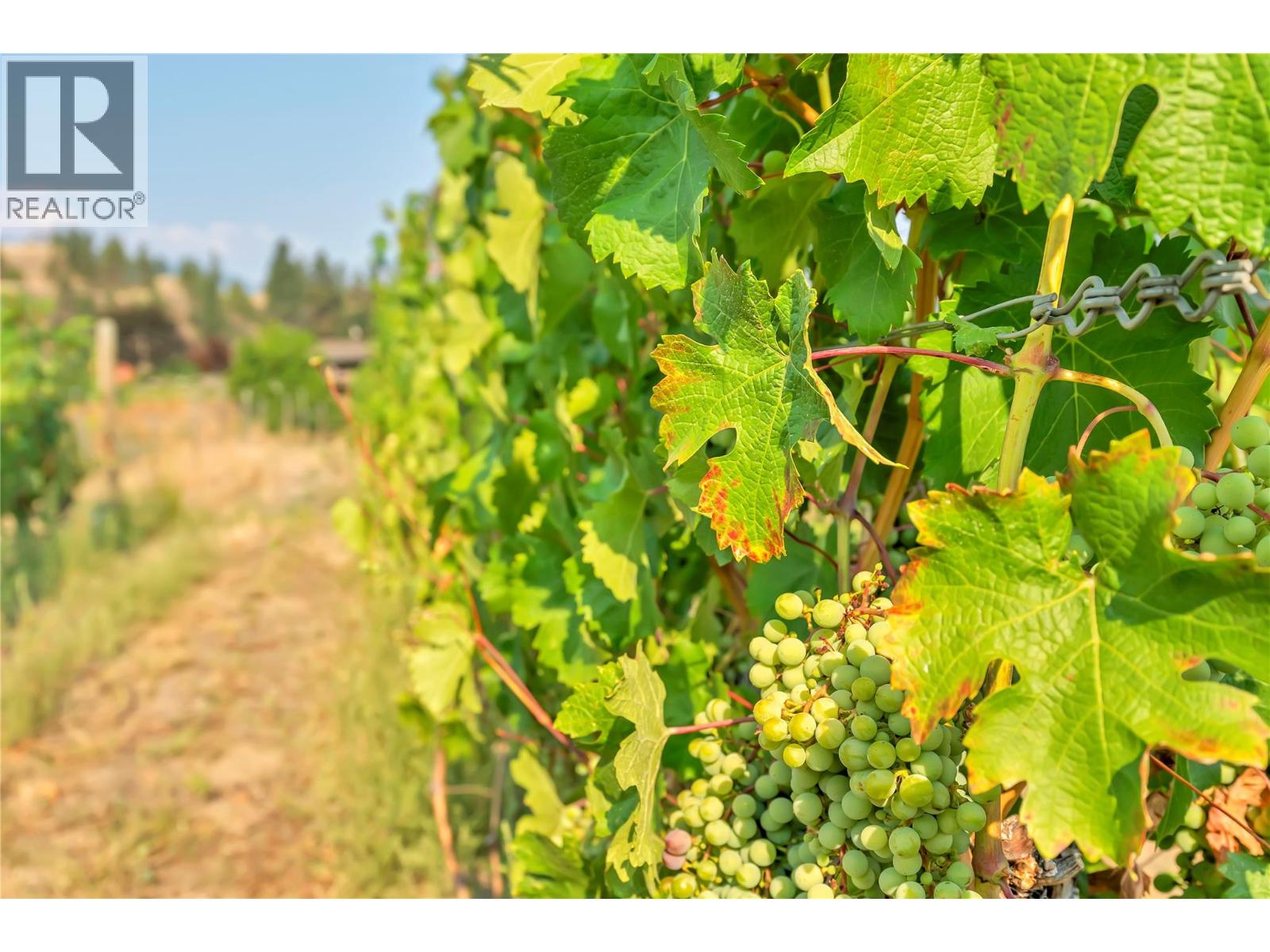 1275 Munson Avenue, Penticton