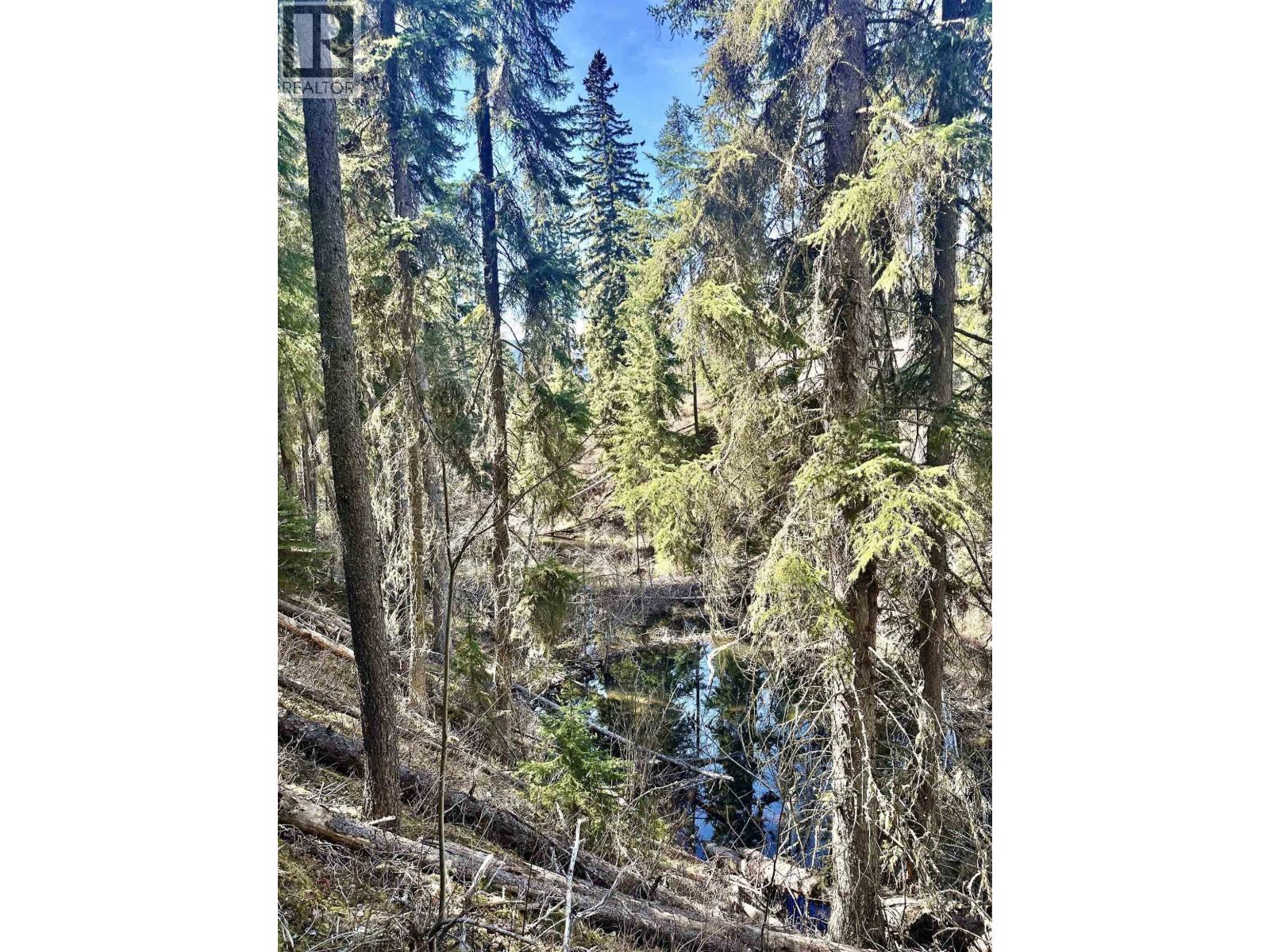 LOT A 3840 BRYAN ROAD, Valemount