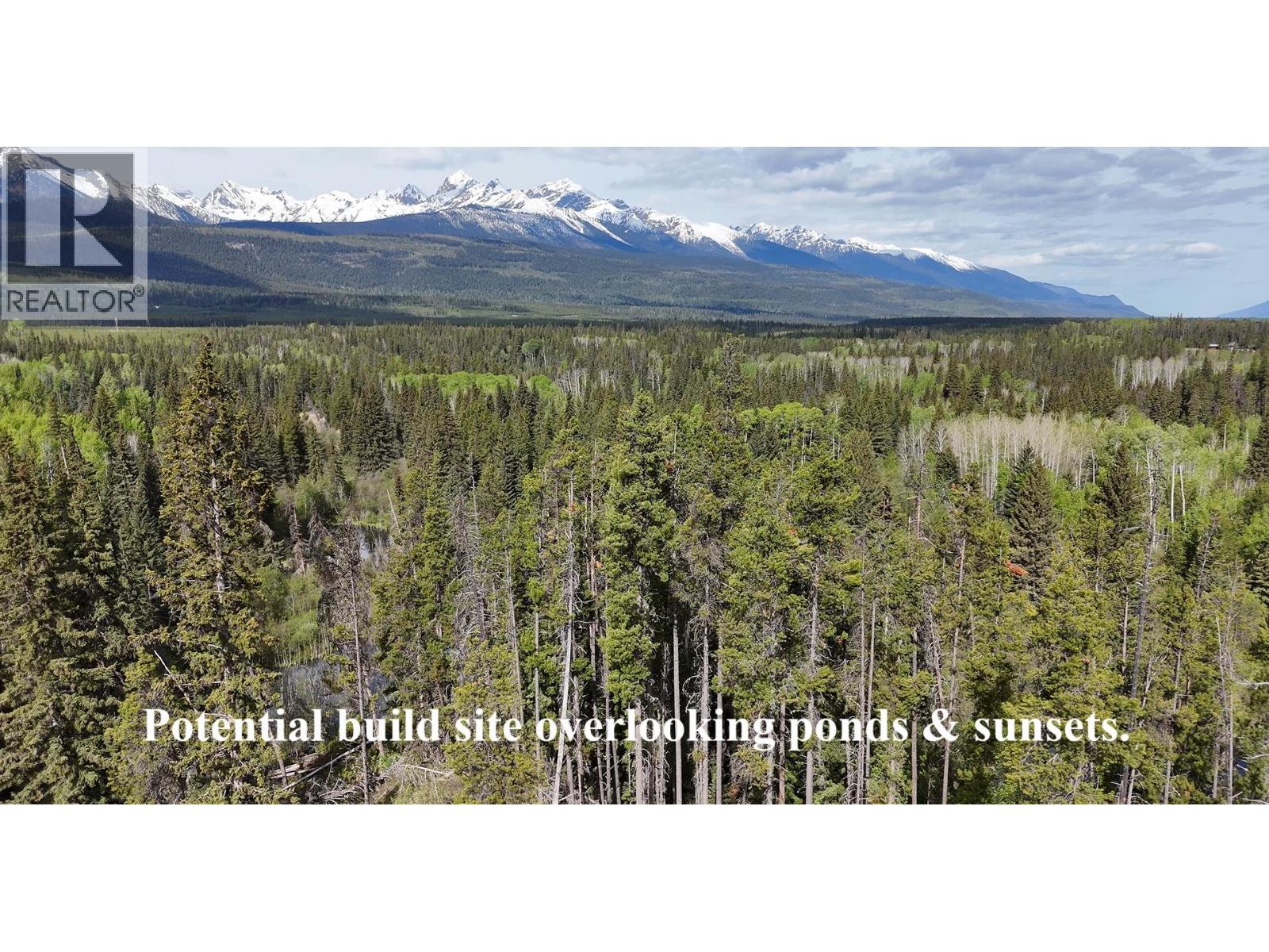 LOT A 3840 BRYAN ROAD, Valemount