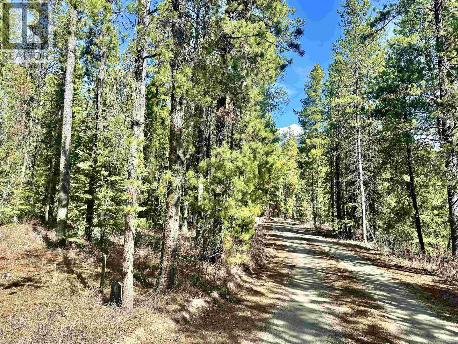 LOT A 3840 BRYAN ROAD, Valemount