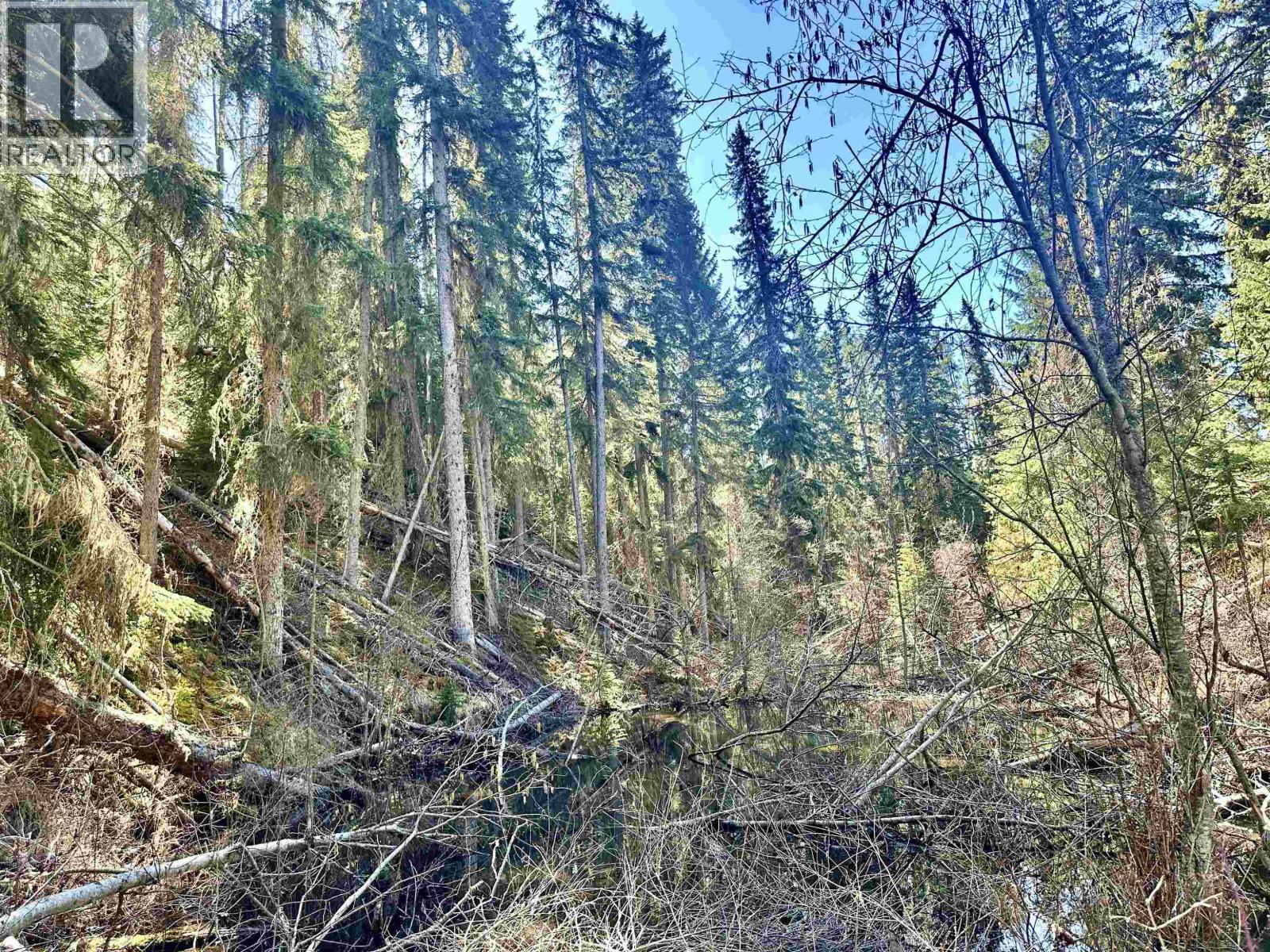 LOT A 3840 BRYAN ROAD, Valemount