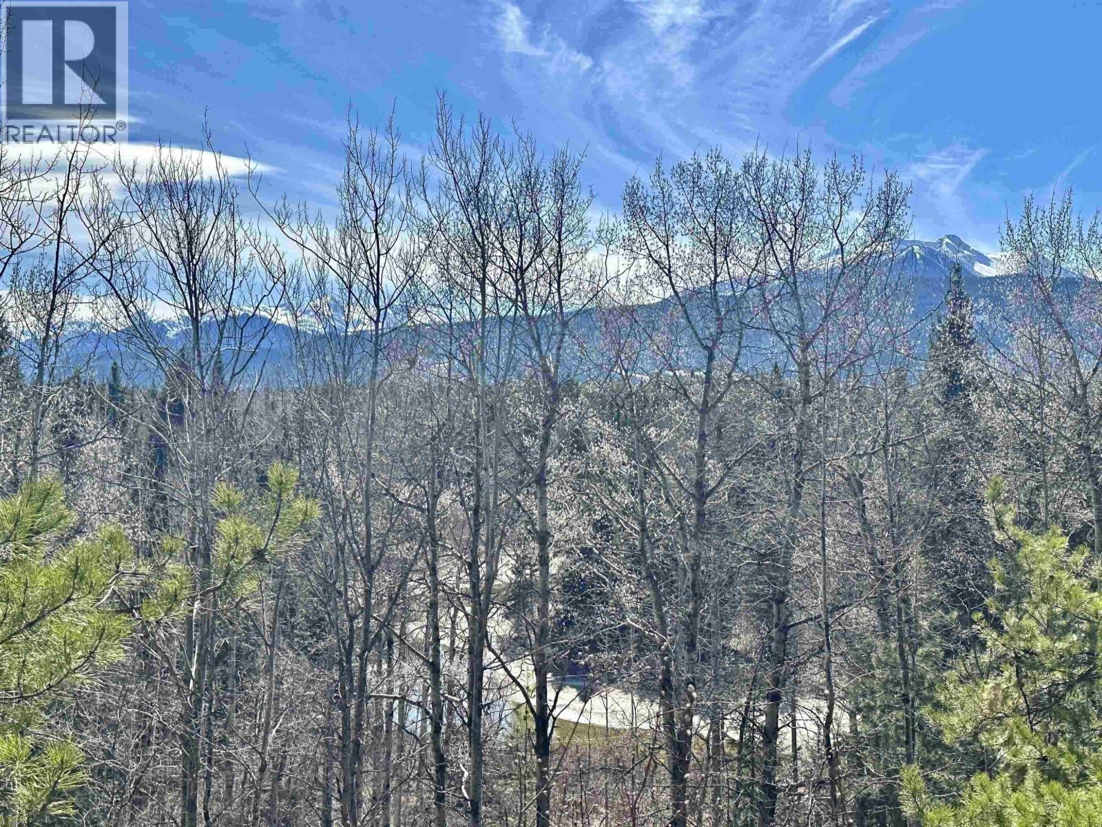LOT A 3840 BRYAN ROAD, Valemount
