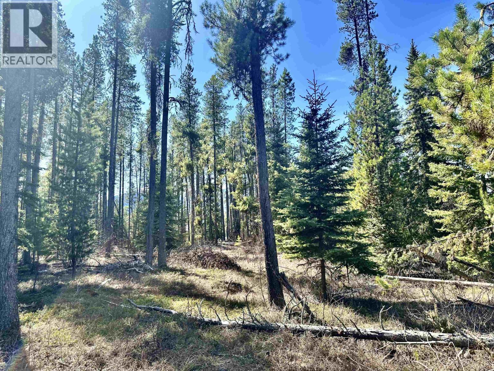 LOT A 3840 BRYAN ROAD, Valemount
