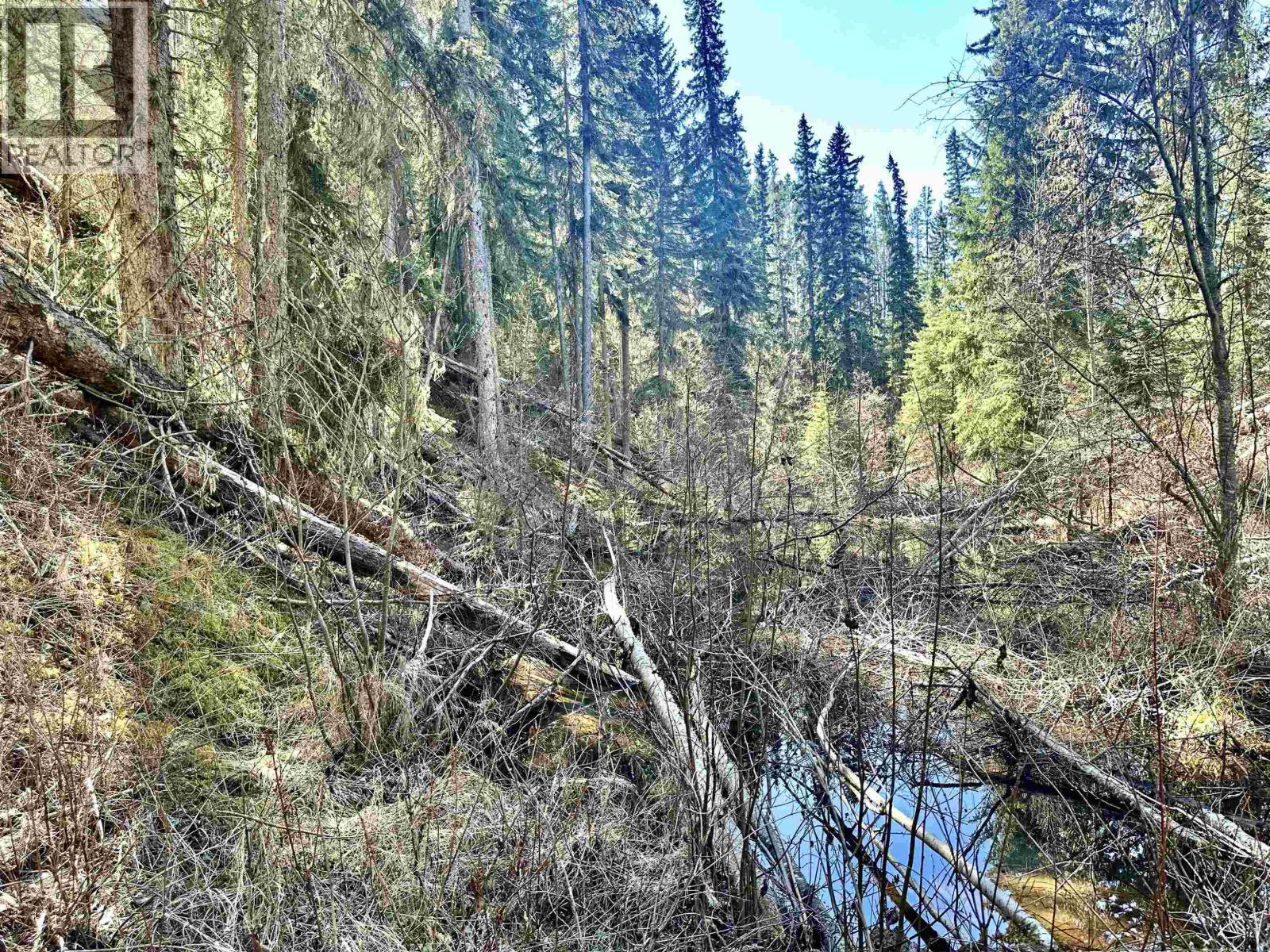 LOT A 3840 BRYAN ROAD, Valemount