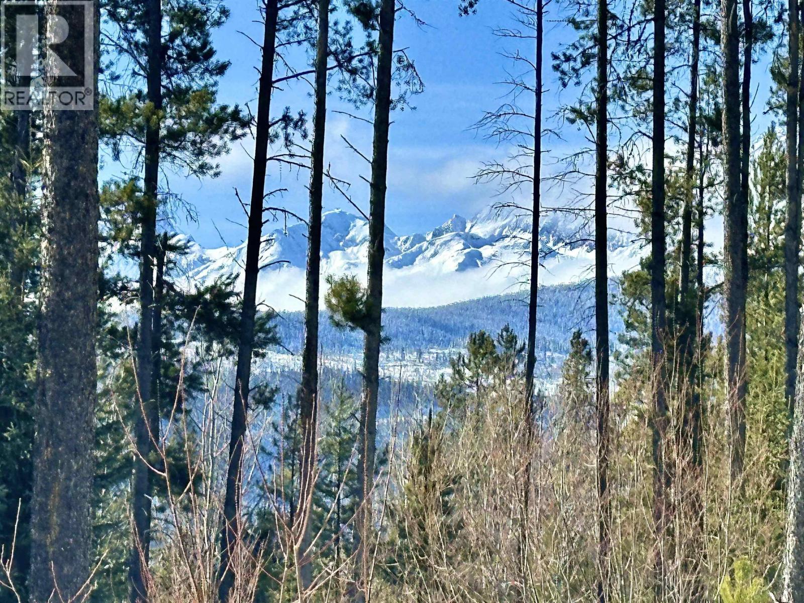 LOT A 3840 BRYAN ROAD, Valemount