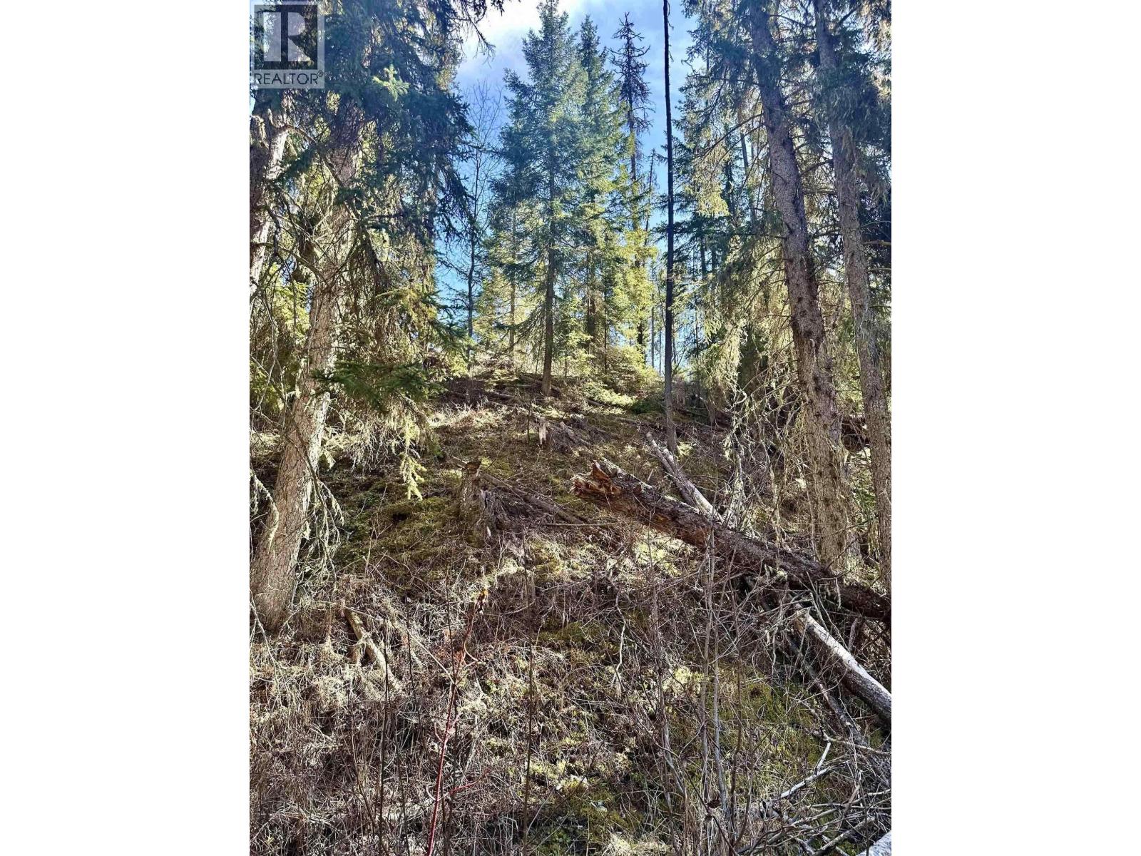 LOT A 3840 BRYAN ROAD, Valemount