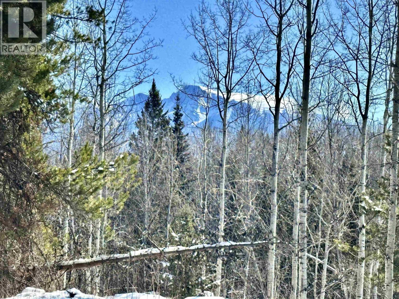 LOT A 3840 BRYAN ROAD, Valemount