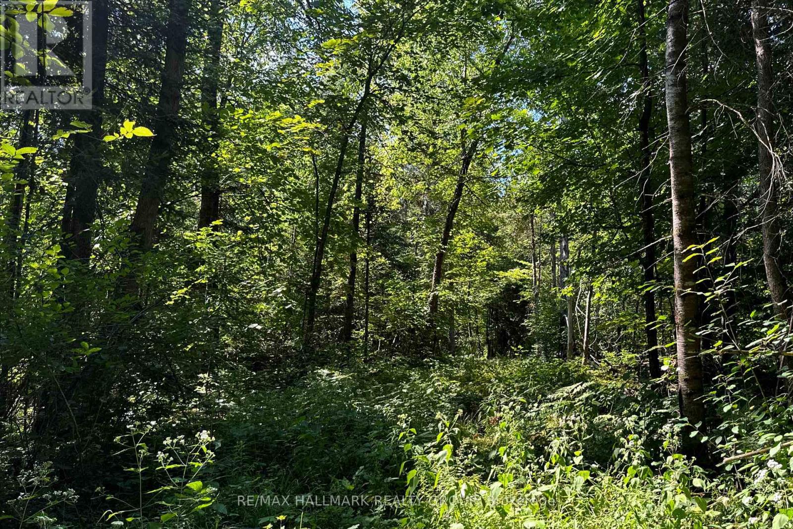 Photo 14 of 2485 Marshwood Road, Ottawa ON