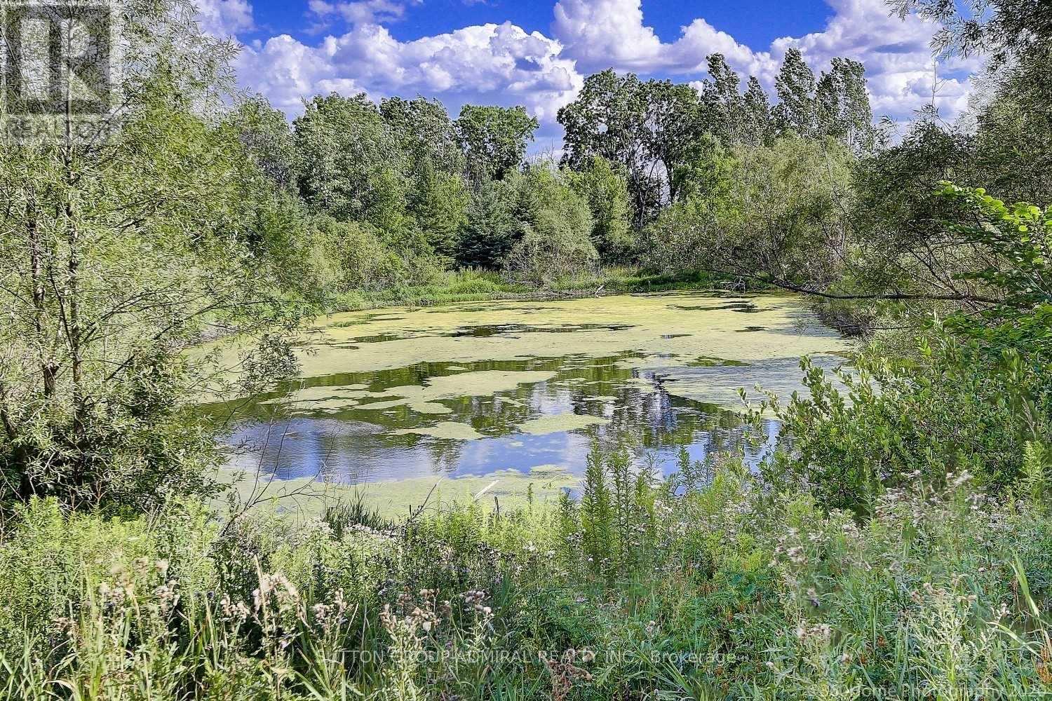Photo 8 of 4 Castleglen Boulevard, Markham ON