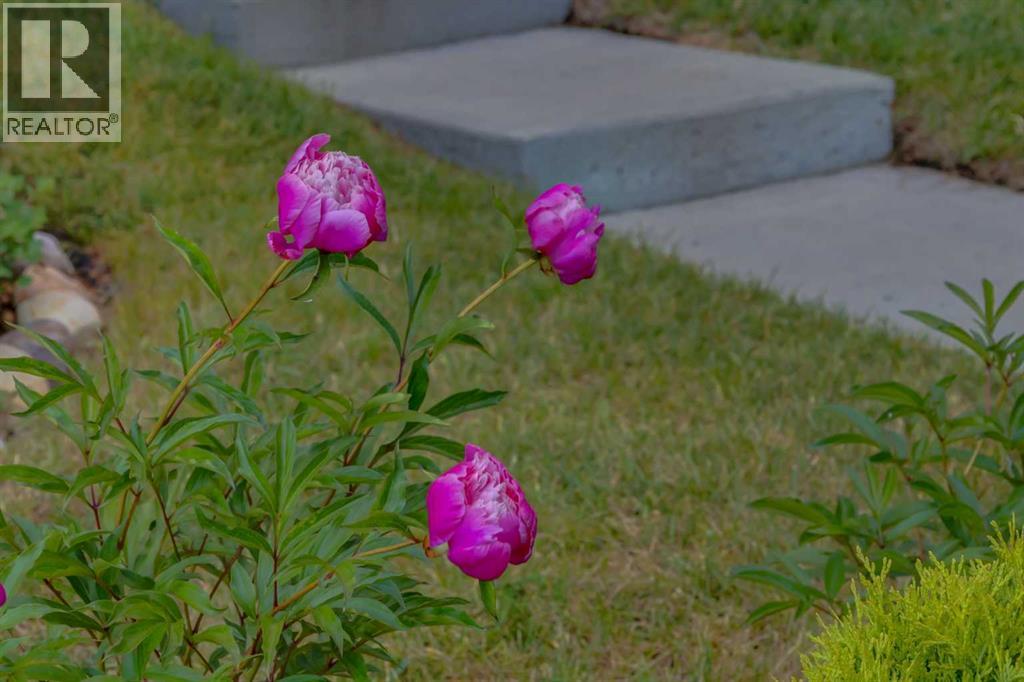 Single Family House for Sale in  WALDEN Crescent SE Walden Calgary 