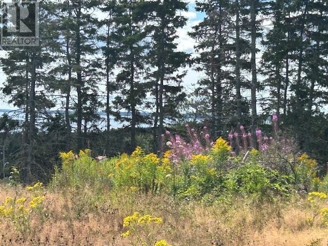 Property 4 of 10 of 1185 247 Highway