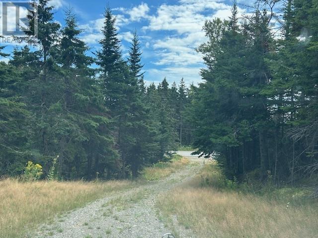 Property photo of 1185 247 Highway