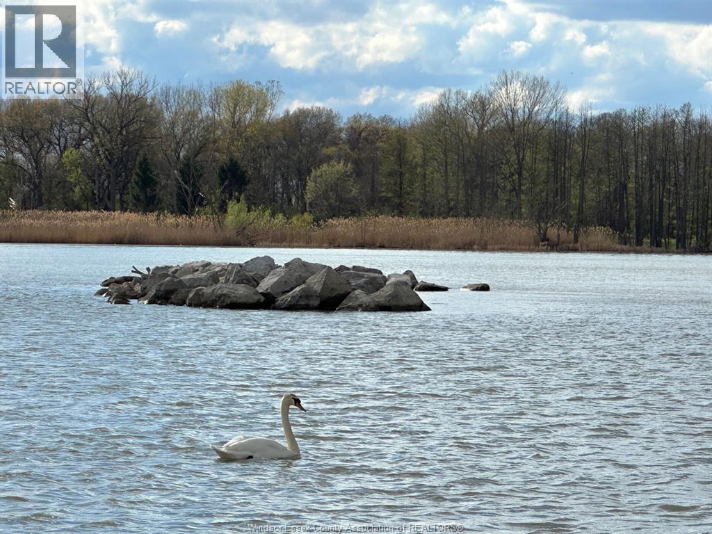 Photo 26 of 353 Bouffard Road, Lasalle ON