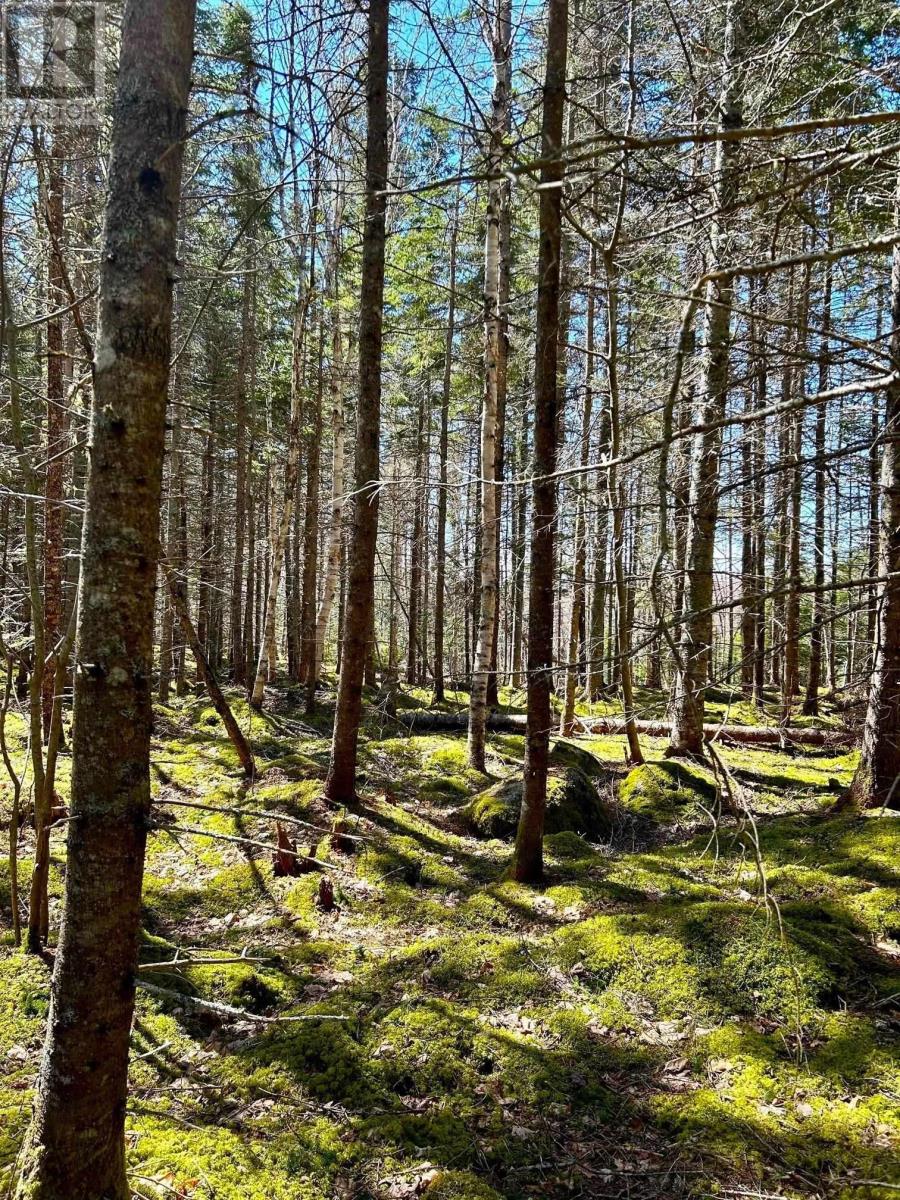 Property 8 of 24 of Lot 1C Marble Mountain Road