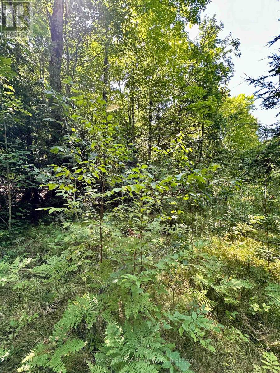 Photo 11 of 00 Kirk Kove Road, Frontenac ON