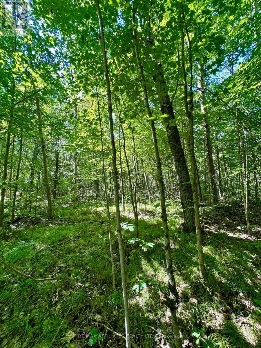 Photo 10 of 00 Kirk Kove Road, Frontenac ON