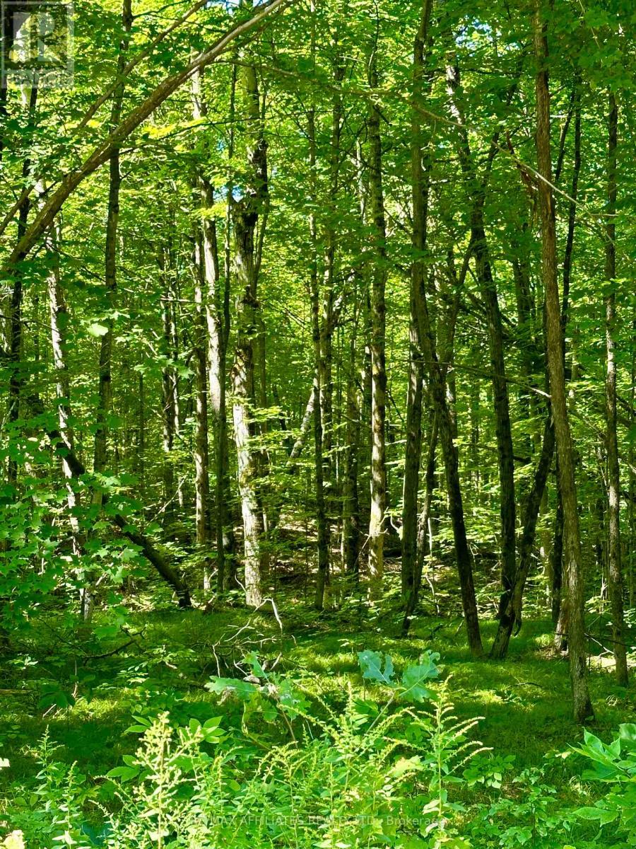 Photo 4 of 00 Kirk Kove Road, Frontenac ON