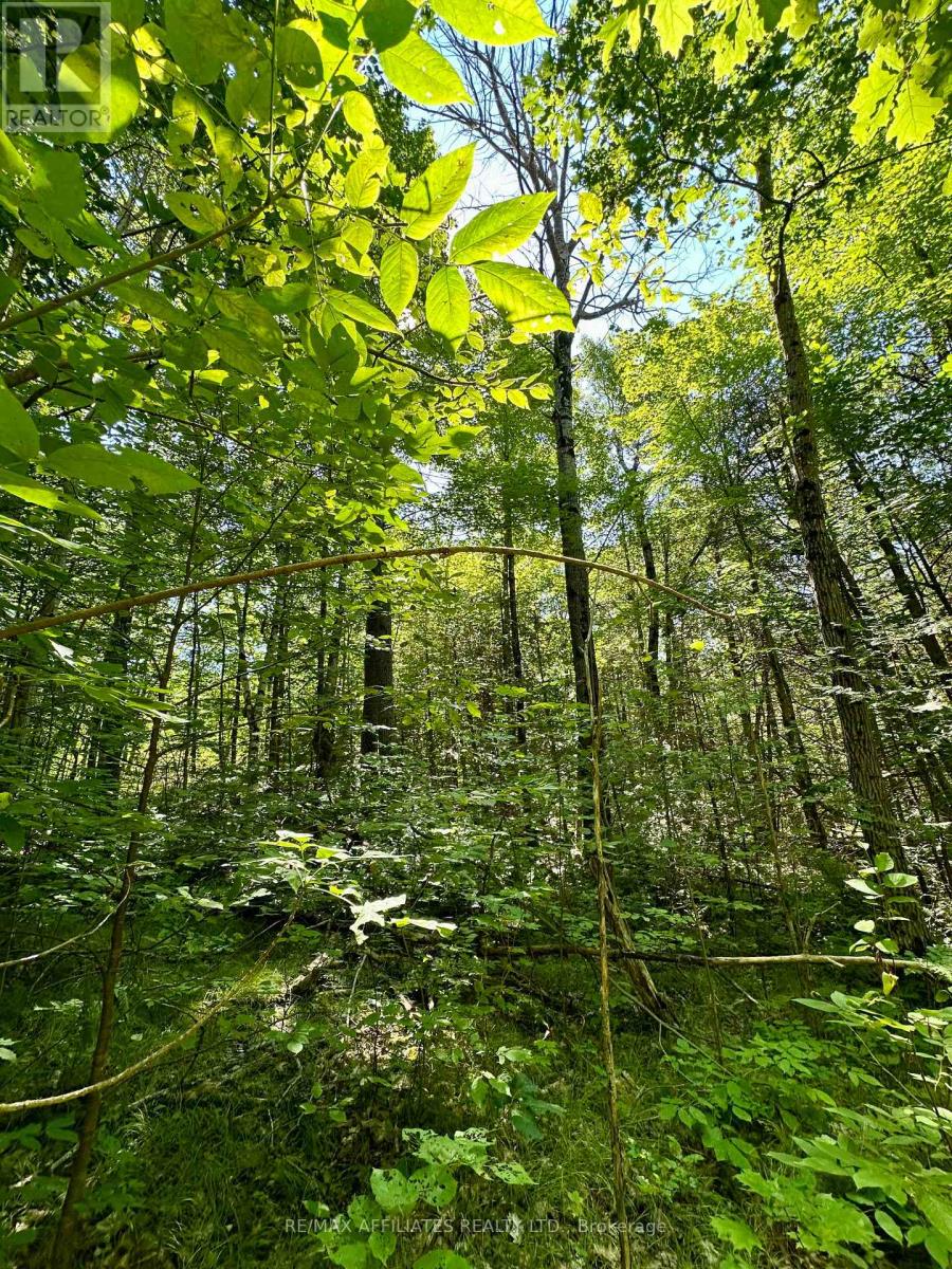 Photo 13 of 00 Kirk Kove Road, Frontenac ON