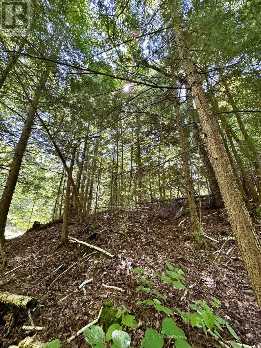 Photo 8 of 00 Kirk Kove Road, Frontenac ON