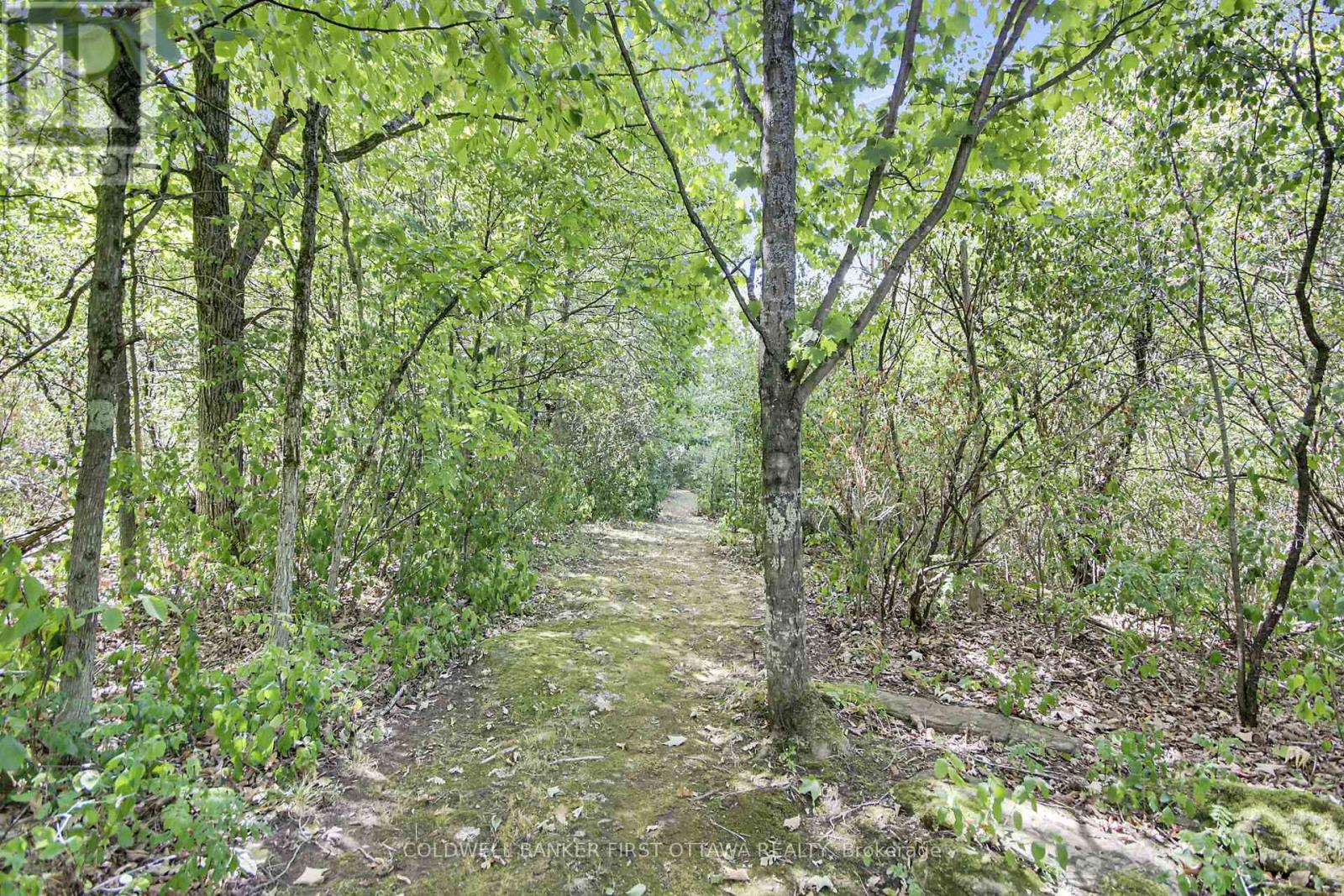 Photo 5 of 230 Pine Ridge Drive, Beckwith ON