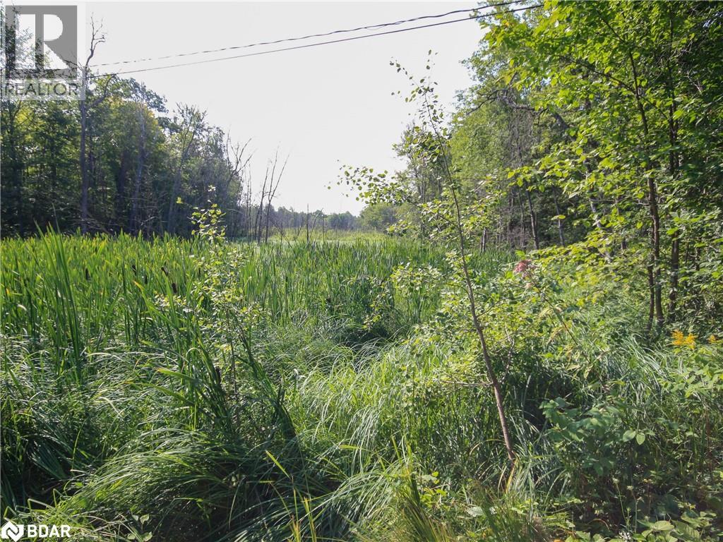 Photo 19 of 30 Birch Acres Drive, Port Severn ON