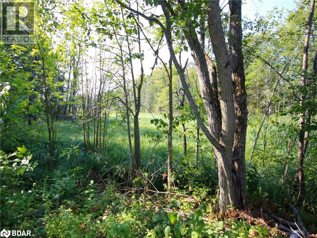 Photo 26 of 30 Birch Acres Drive, Port Severn ON