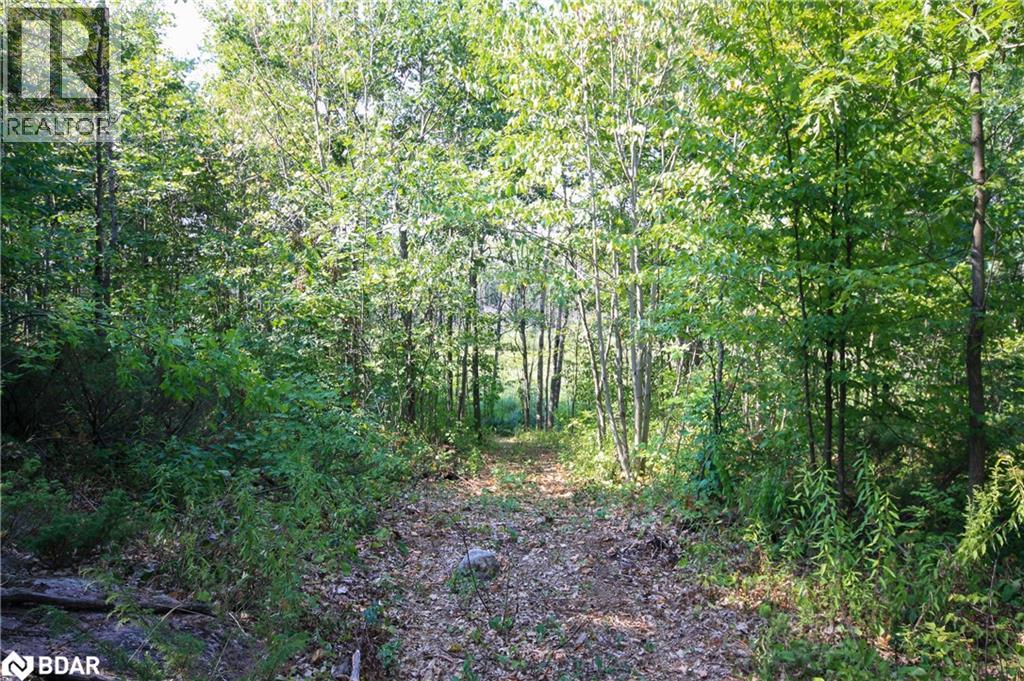 Photo 5 of 30 Birch Acres Drive, Port Severn ON