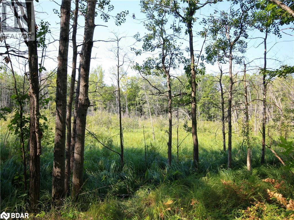 Photo 15 of 30 Birch Acres Drive, Port Severn ON