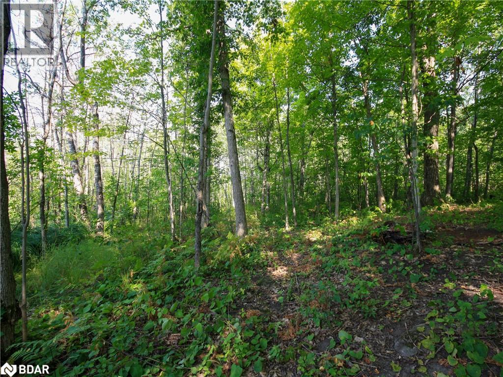Photo 21 of 30 Birch Acres Drive, Port Severn ON